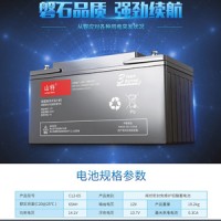 山特蓄電池12V200AH城堡C12-200鉛酸免維護(hù)監(jiān)控